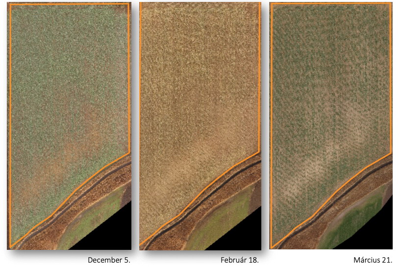 2. ábra -  RGB felvételek az üzemi kezelésben részesített területekről(Nagyhegyes, 2018-2019)